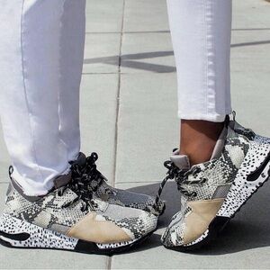 Steve Madden Tan Gray And White Unisex Snakeskin Print Sneakers Men’s 10